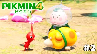 新たな労働力を確保しました【ピクミン4】#2