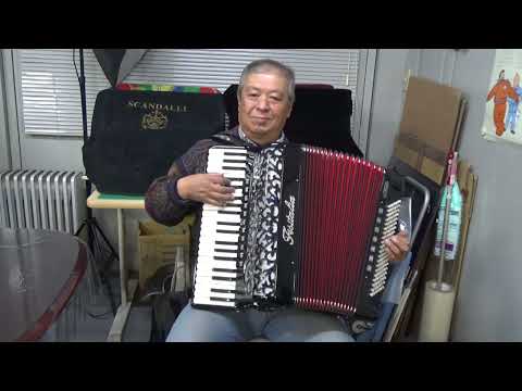 気ままにアコーディオン紹介　Fisitalia 41.45S