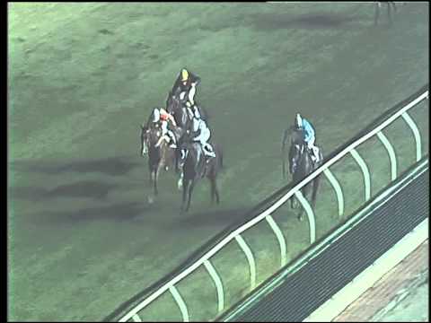 Galoppo 08/08/2015 - 1° corsa