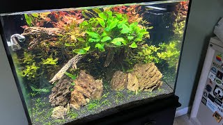 Planted Aquarium Setup : The Shaker