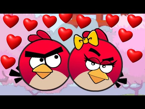 Angry Birds Lover Video