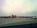 Seagulls Walmart