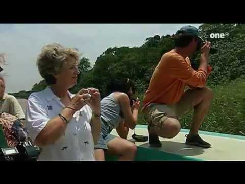 Entdeckungstouren im Süden Afrikas