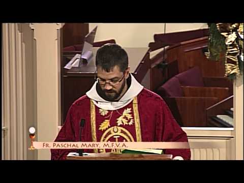 Homilía 26 de diciembre 2014 - el P Pascal Mary