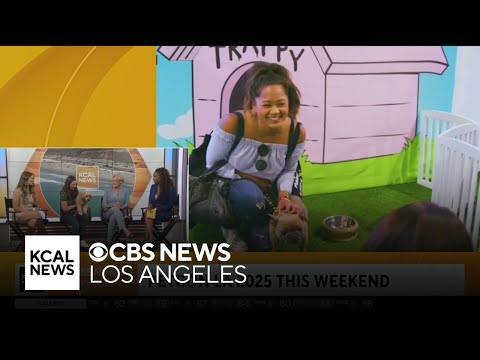 PetCon LA 2025 heading to Annenberg PetSpace over weekend - YouTube