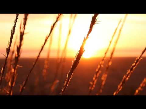 Meditacija za lahko noč | Odloži skrbi pred spanjem