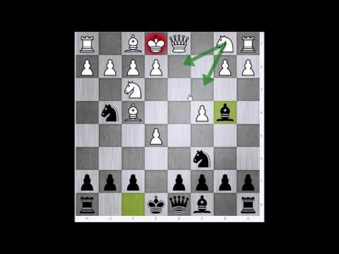 Fatalne zamke u šahovskim otvaranjima - Specijalni gost  INFO ŠAH # 1064