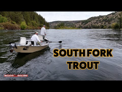 South Fork Snake River Trout Fishing