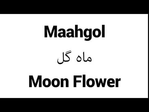 How to Pronounce Maahgol! - Middle Eastern Names