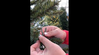 Connecting Christmas trees with LED cluster lighting