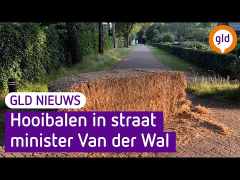 GLD Nieuws 25 juni 2022