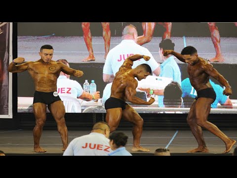 CLASSIC PHYSIQUE ABSOLUTO (NOVEL) – COPA AMERICAN 2024