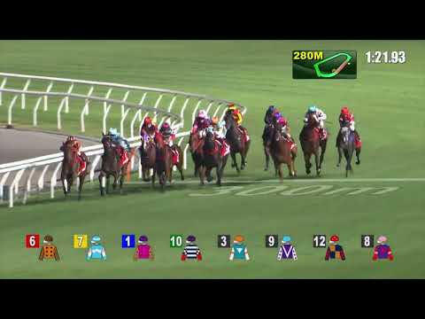 14/9/2022 (17) Nearly Fine - Vincent Ho