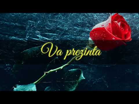 Ești trandafirul din saron negativ 2018