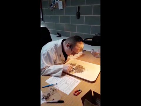 Peter sorting through the 2mm fraction