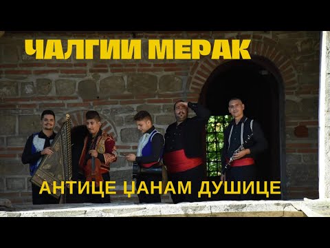 Antice dzanam dusice - Calgii Merak / Антице џанам душице - Чалгии Мерак