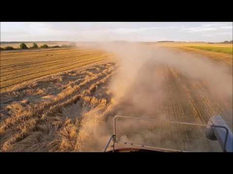 Massey Ferguson MF Centora 7380