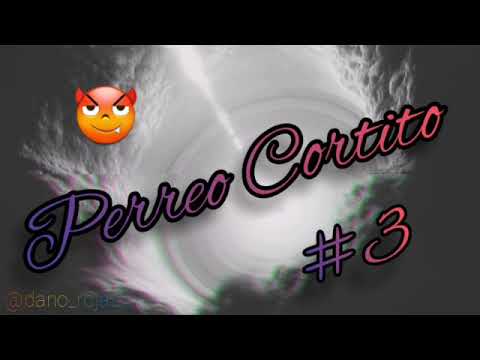 PERREO CORTITO #3 - Dj Dario official