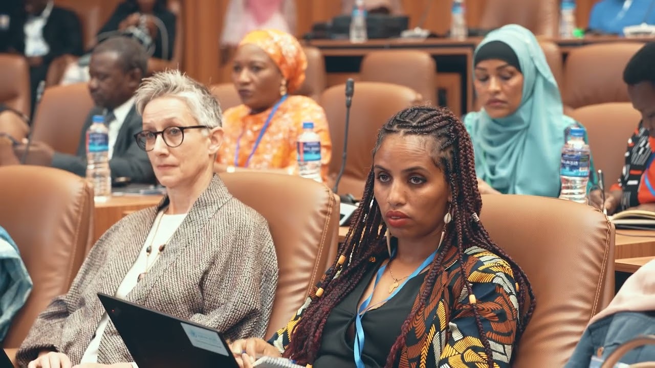 Highlights from the 87th Ordinary Session of the African Commission on Human and Peoples' Rights.