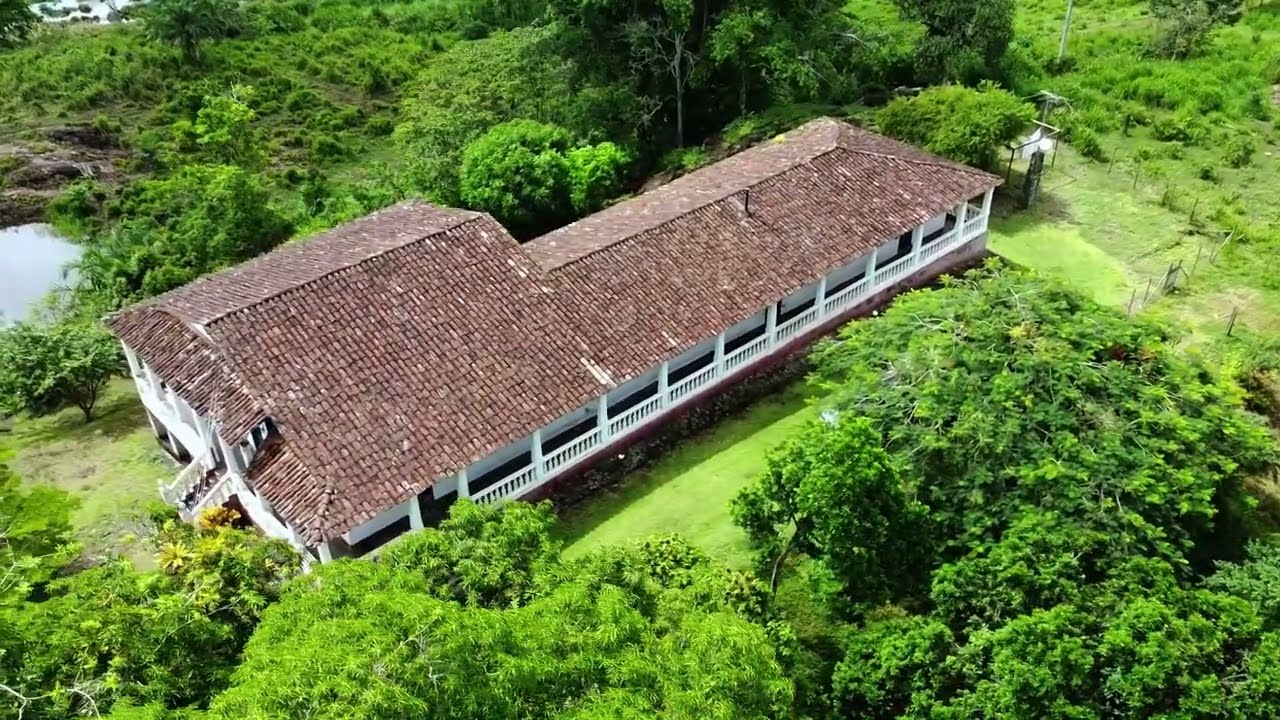FAZENDA CAPELA VELHA - URUÇUCA- proximidade ILHÉUS - BAHIA