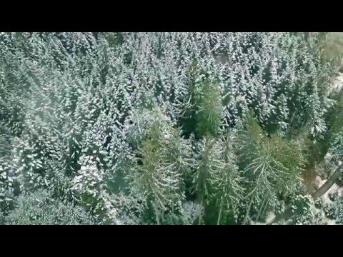 Kalkbrenner vs Stiller Has - Fäderliecht (OXIDIX Mashup)