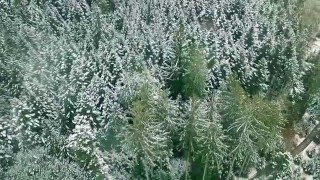 Kalkbrenner vs Stiller Has - Fäderliecht (OXIDIX Mashup)