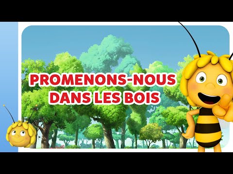 Maya l'Abeille : Promenons-nous dans les bois | Chansons et comptines pour enfants