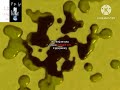 20th KLASKY CSUPO In G Major 1024