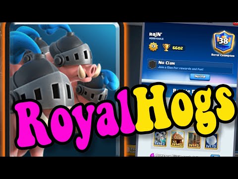 Best ROYAL HOG DECKS! 🏆rajN  6600 👈 Best  deck in clash Royale