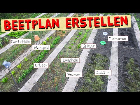 Creating a simple garden plan for a vegetable garden - How important are companion planting and c...
