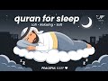 Peaceful Soft Quran For Deep Sleep Stress Relief Healing NOOR