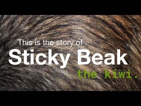 Kiwi Beak