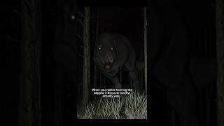 The biggest T-Rex ever was HOW BIG?! #dinosaur #prehistoric #trex #tyrannosaurus #tyrannosaurusrex