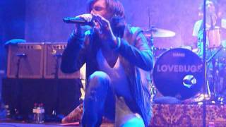 Lovebugs - Faint Afterglow