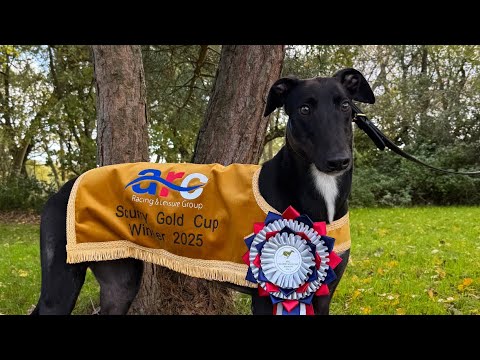 RACE PREPARATIONS - GREYHOUND RACING EP.4