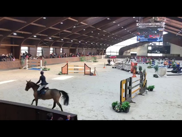 Grand-mother of Patichou is the CSI 1.45m jumping mare Kigali v/d Bisschop with rider Wilm Vermeir.