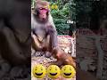 baby monkey #nurse #doctor #nosugar #mothermonkey #rationshop