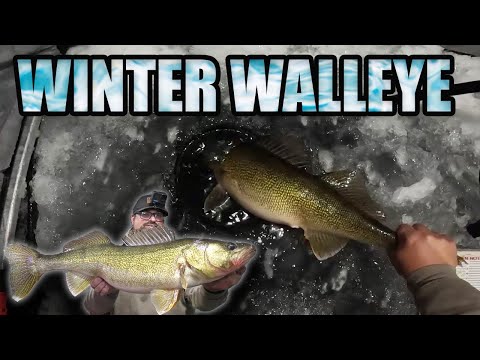 Early Ice Walleye Fishing!