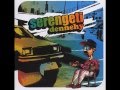 Serengeti - Go Paint