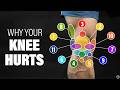 Why Your Knee Hurts And What To Do About It