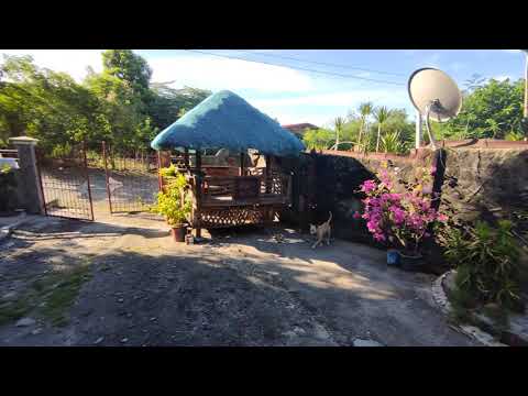 4K 30fps(Ultra Wide Angle Mode On) Resolution of Black Shark 3 l Sample Video