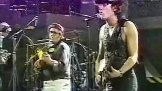 Chihuahua   Porque Te Vas