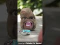 भिखारी का गुस्सा Comedy Per Second Shorts Jokes Comedy
