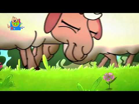 The lying shepherd - Toyor Baby English