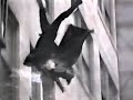 Teaser