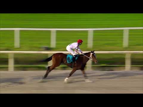 220514 c10 LA PINTA MS