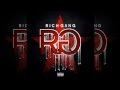 RichGang Paint Tha Town Ft Game Birdman Lil Wayne