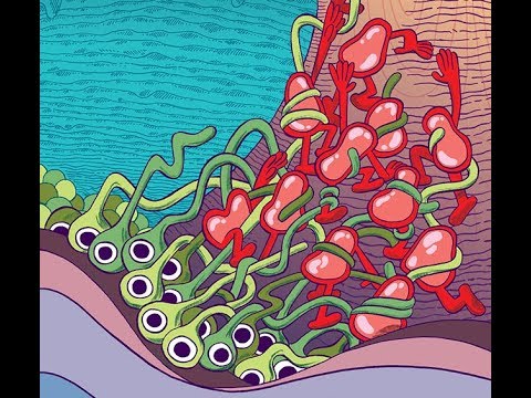 Researchers discover the science behind giving up - UW Medicine | Newsroom