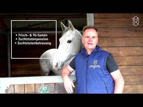 Holsteiner Hengststation - Mölln