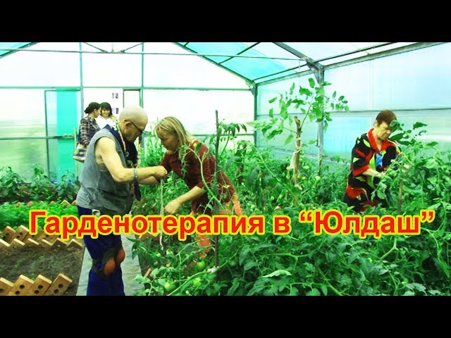 Гарденотерапия в Доме-интернате для престарелых и инвалидов "Юлдаш"  Чистополя